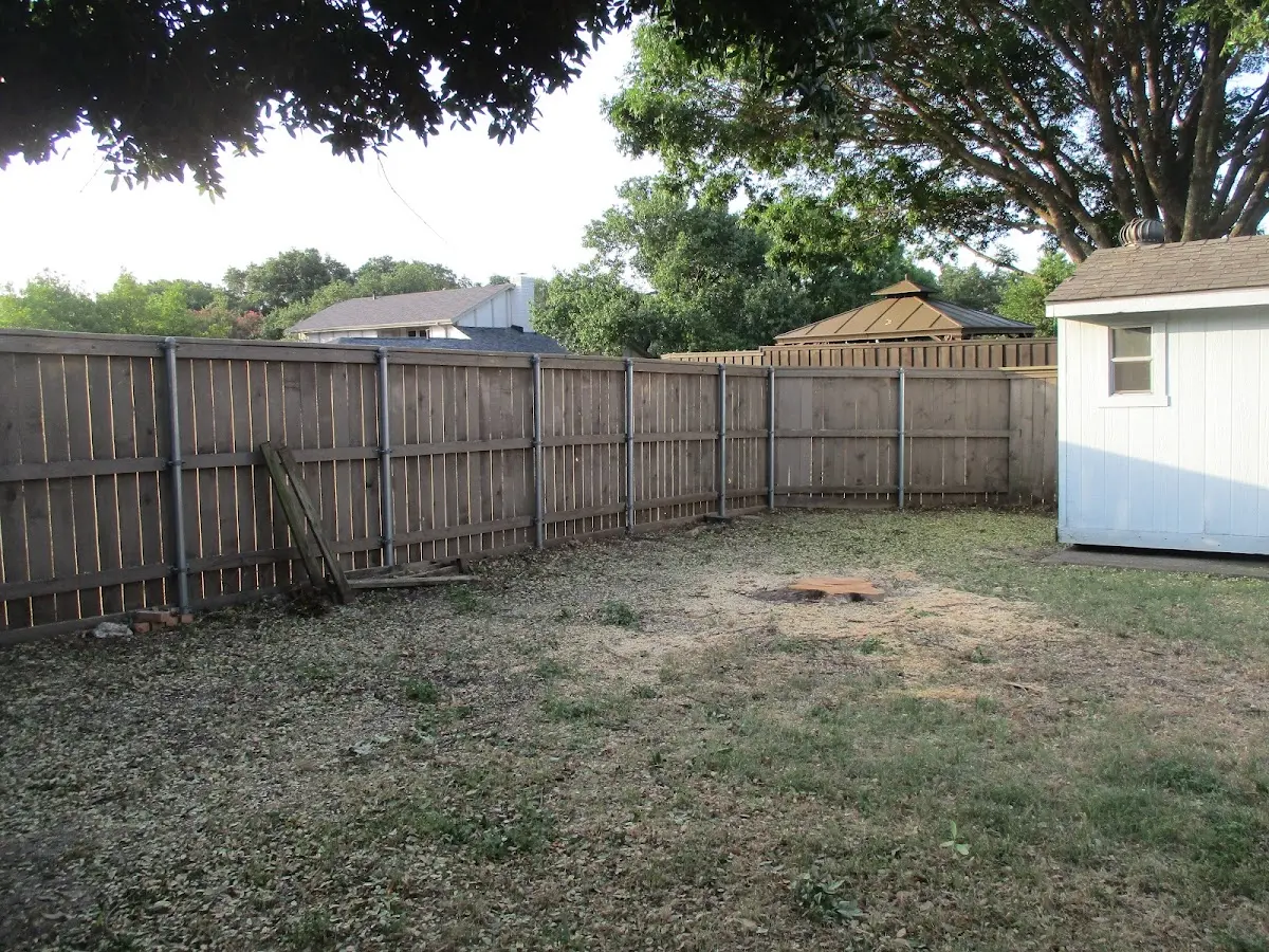 Cleared yard after professional tree removal in Bellemont